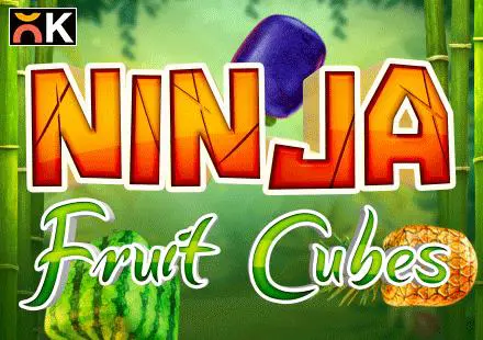 Ninja Fruit Cubes - Spin City - Congo